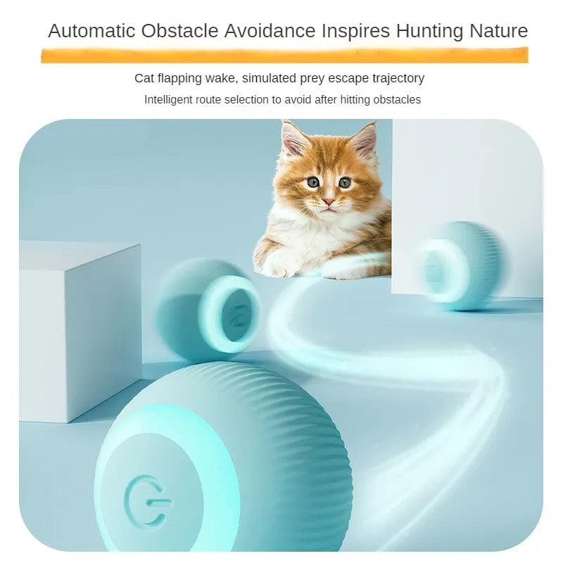 Boule roulante automatique pour chat